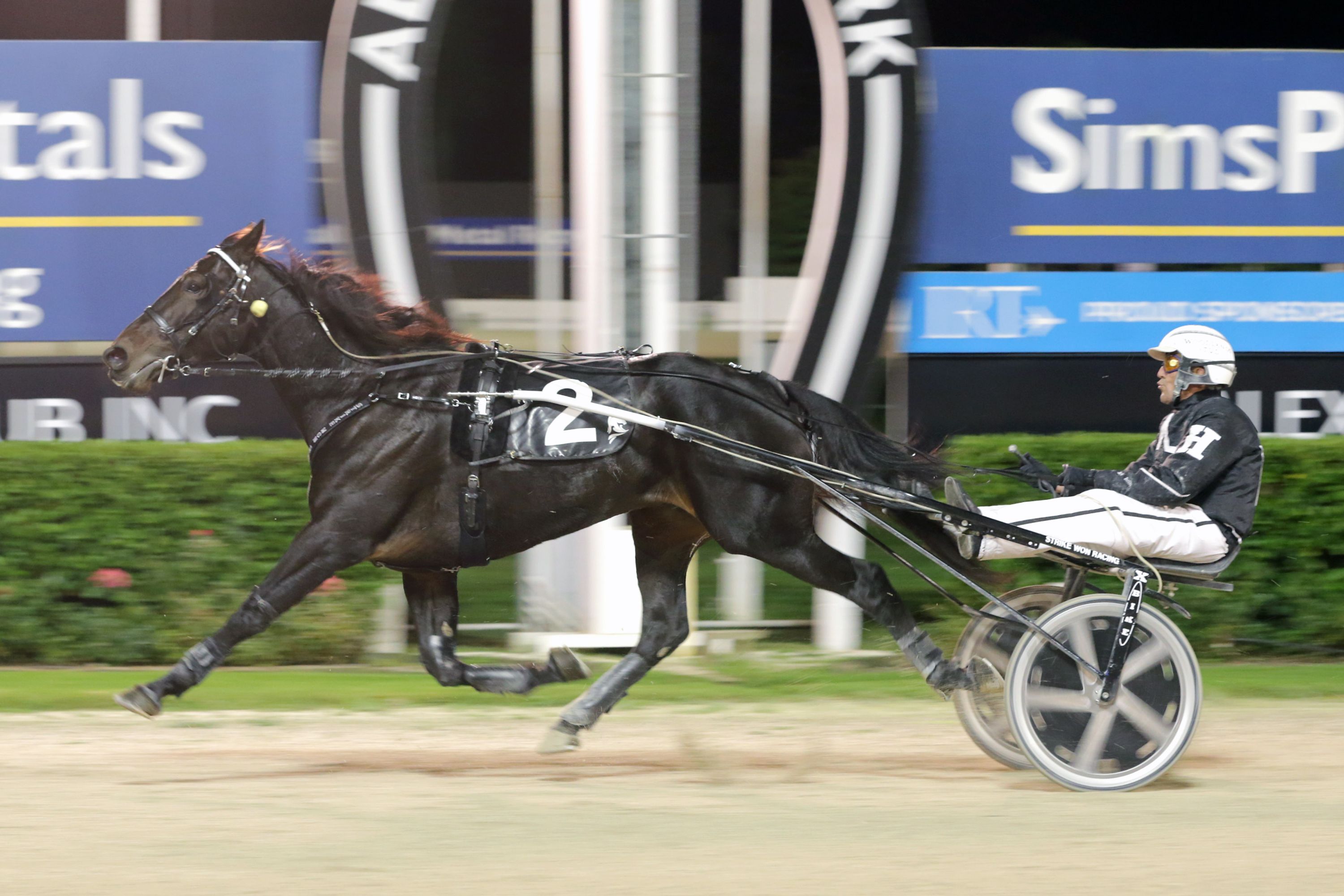 Herlihy's superstar set to show us his Brilliance in ID22 Harness Racing Victoria